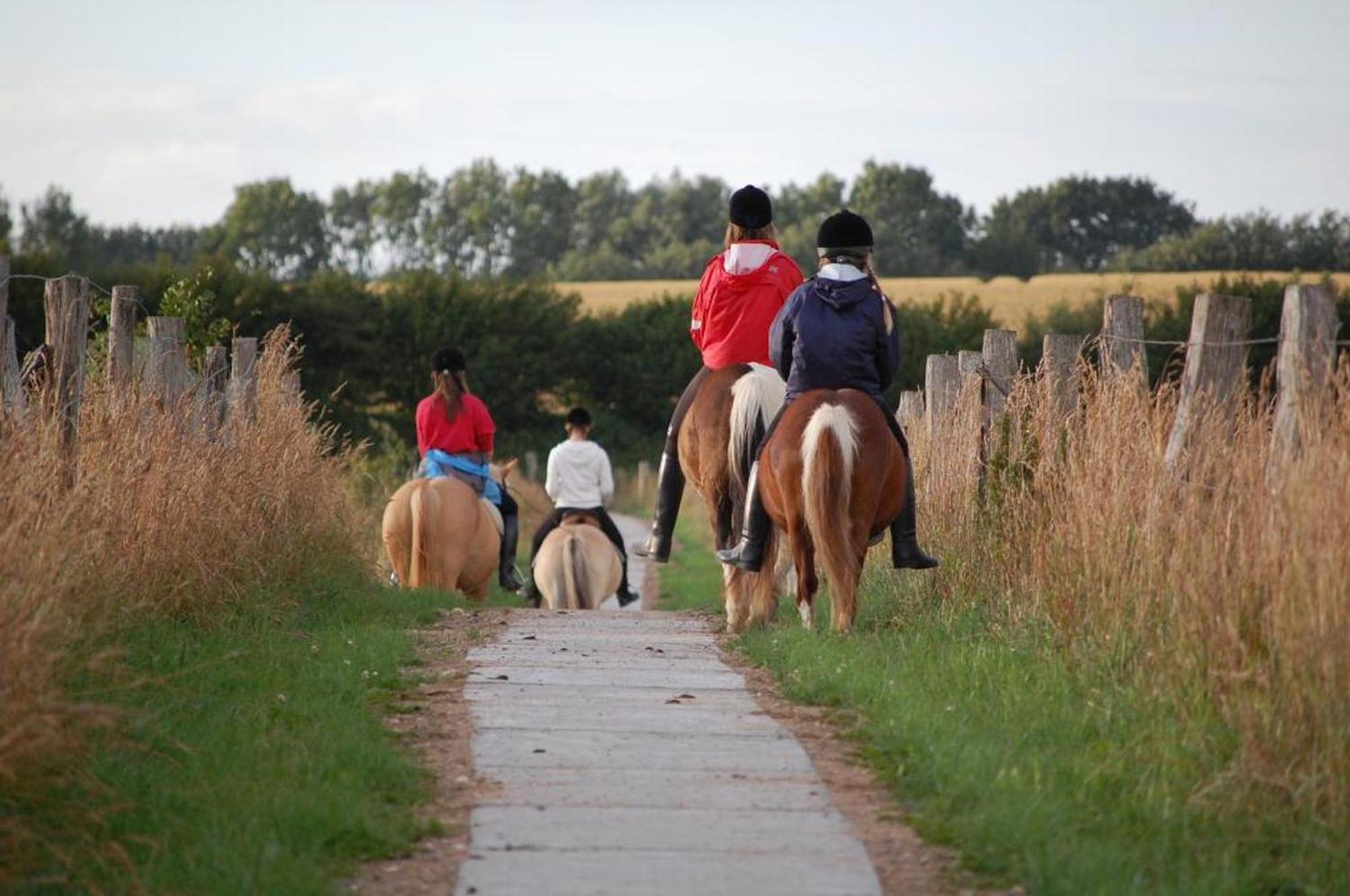 Ferienwohnungen Auf Dem Ferienhof Sell Stoltebüll Exterior foto